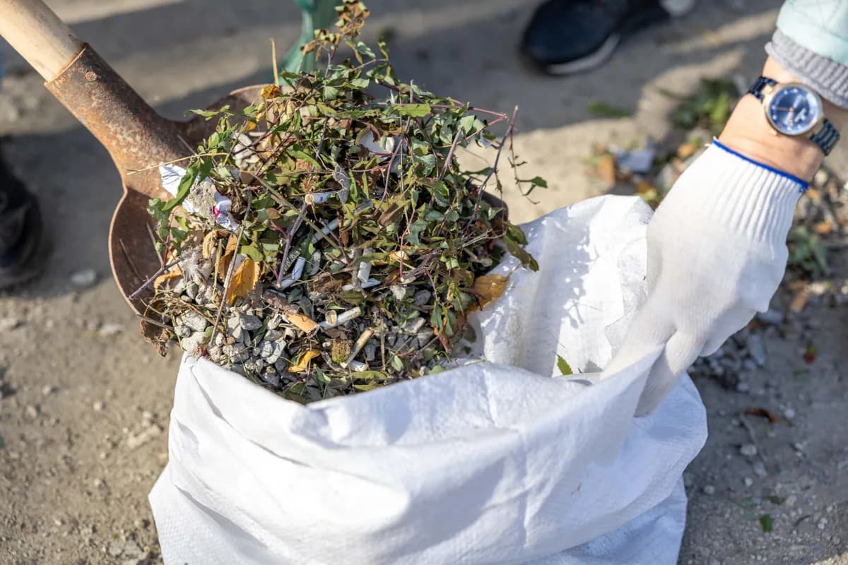 Garden waste and plant trimmings being gathered into a bag for collection.