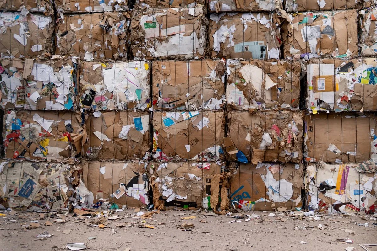 Bales of compressed cardboard and paper stacked several rows high in the yard of a recycling facility.