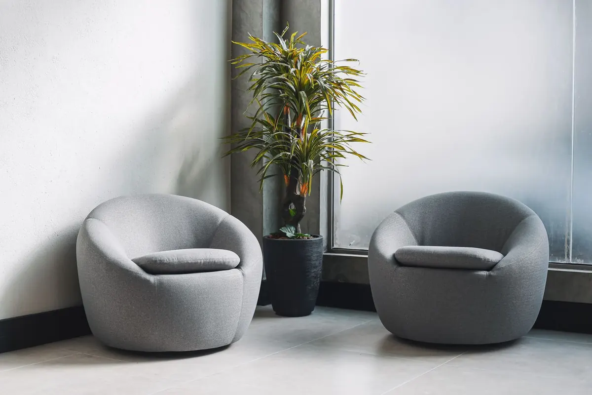 Two round grey fabric tub armchairs standing either side of a tall potted plant against a white wall and a frosted window in a tiled room.