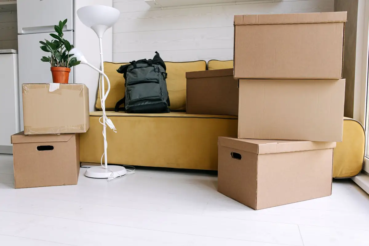 A yellow sofa with a rucksack on it, surrounded by stacked cardboard storage boxes, a floor lamp and a potted plant in a half-packed apartment.