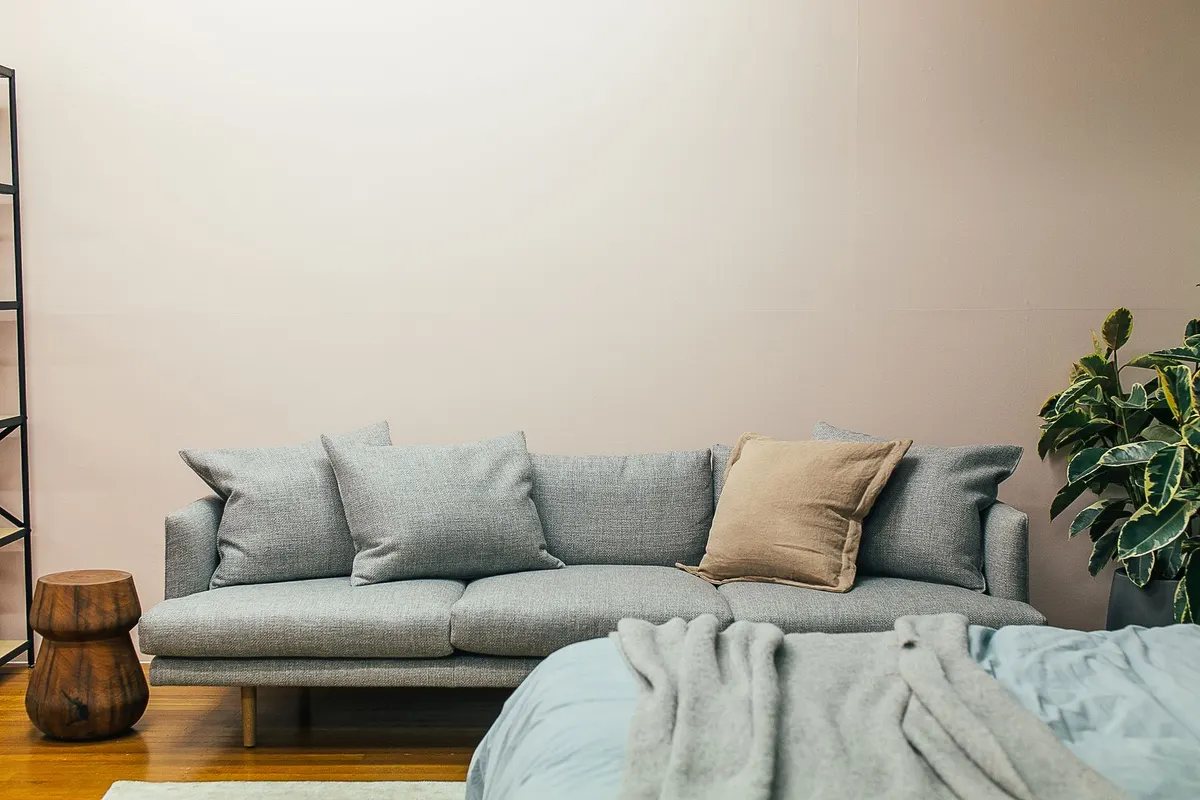 A grey sofa and the corner of a bed with a throw blanket sharing one room in a small studio apartment with a potted plant.