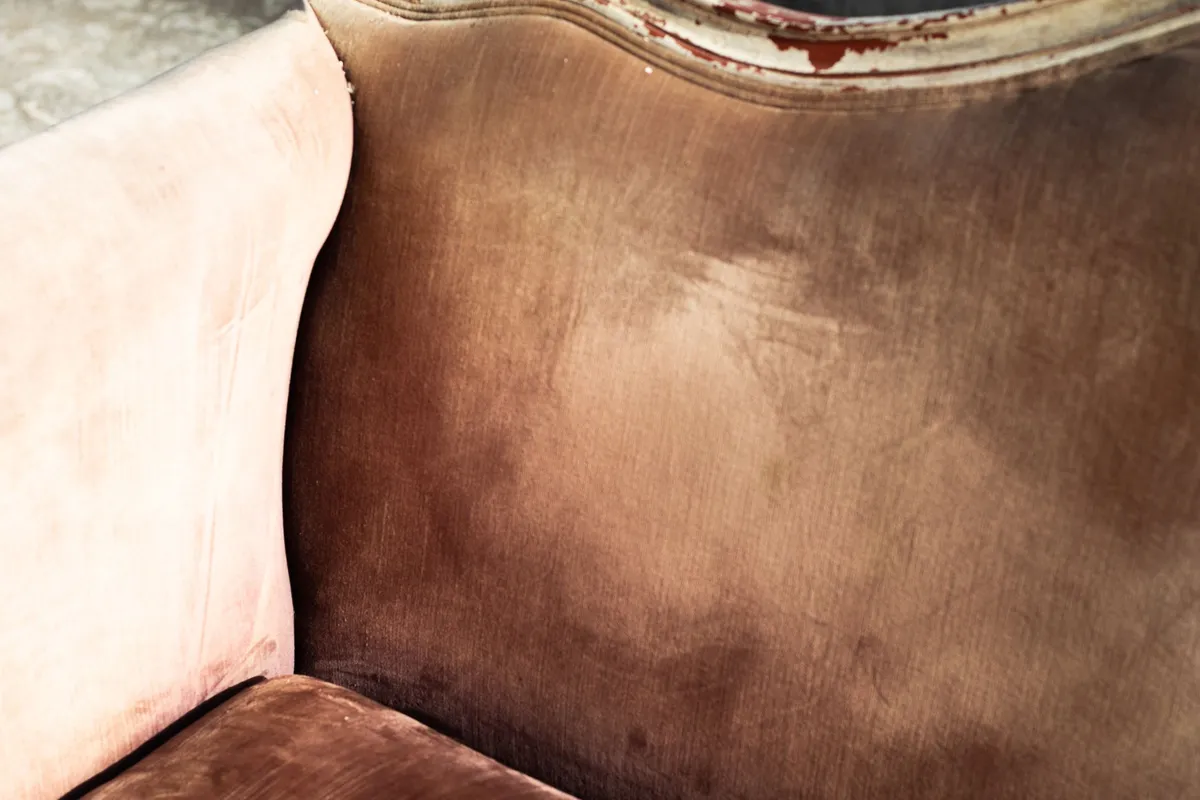 A close-up of a velvet sofa back marked with a large brown water tide line, with the painted wooden frame above it flaking away.
